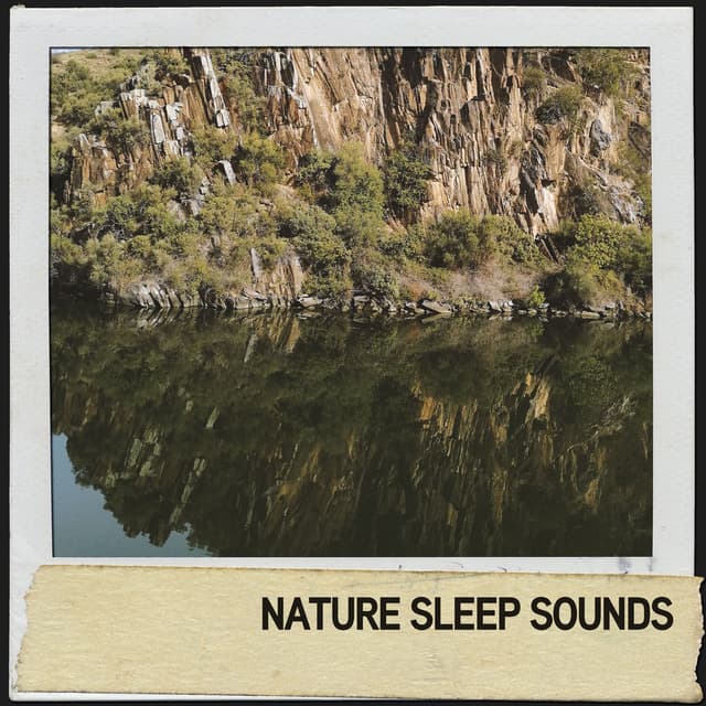 Nature Sleep Sounds: Summer River Showers