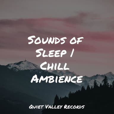 Sounds of Sleep | Chill Ambience