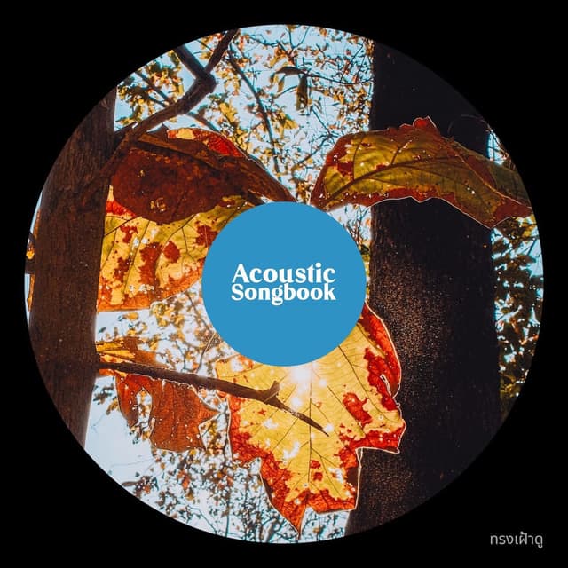 ทรงเฝ้าดู (Acoustic Songbook)