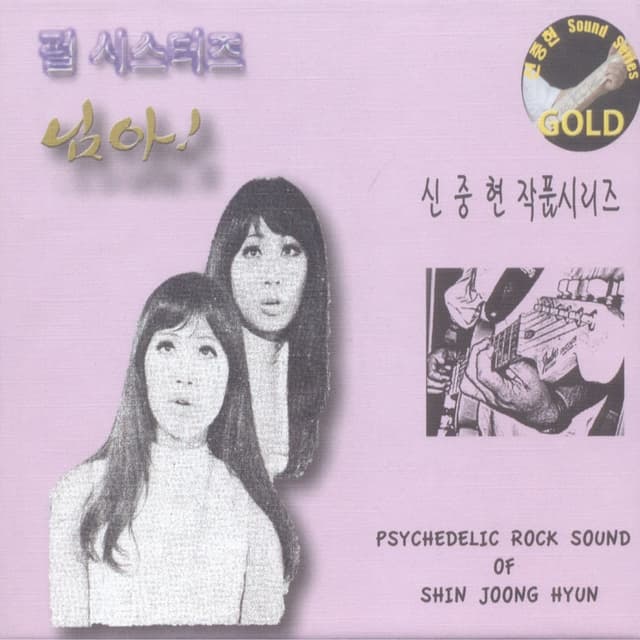 님아! (마스터피스골드시리즈)
