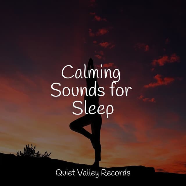 Calming Sounds for Sleep
