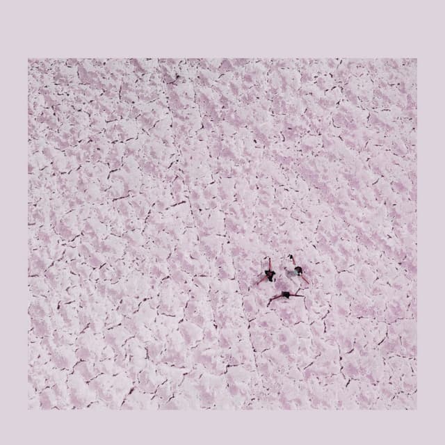 Summer on a Salt Flat