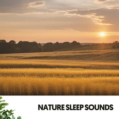 Sonidos de la Naturaleza: Nanas de la serenidad