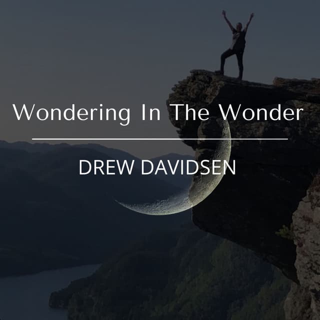 Wondering In The Wonder