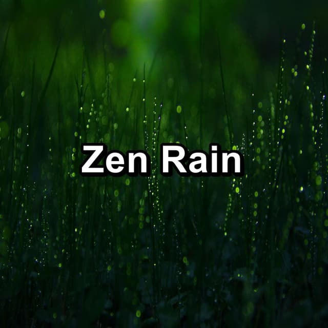 Zen Rain
