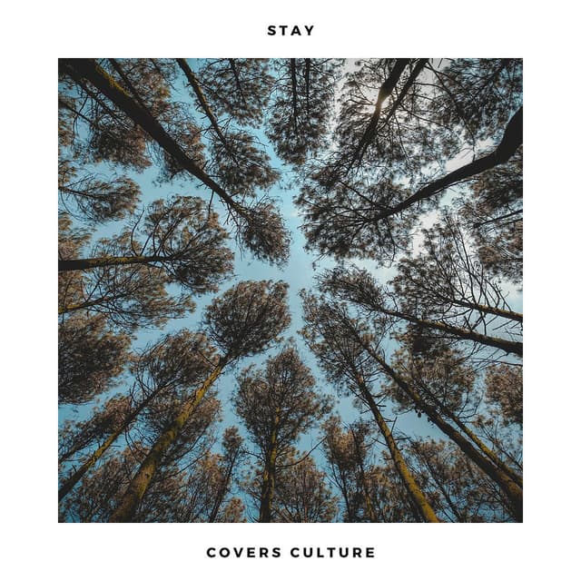 Stay (Acoustic Covers)