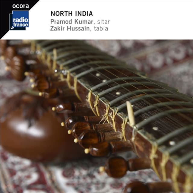 North India - Raga Rageshwari - Raga Kirwani - Dhun (Sitar - Tabla)