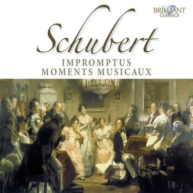 4 Impromptus, D. 899: No. 1 in C Minor (Allegro molto moderato)