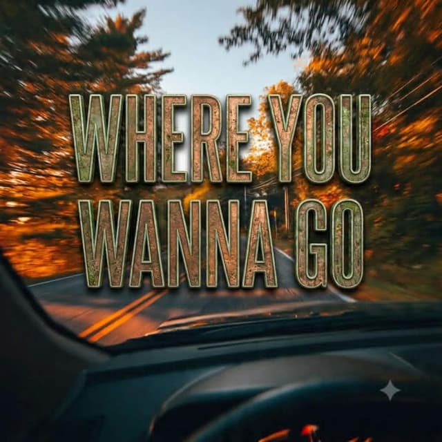 Where You Wanna Go (feat. James Hero)