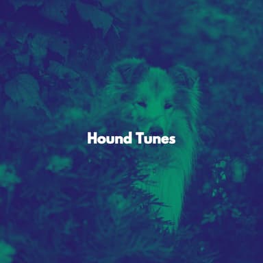 Hound Tunes