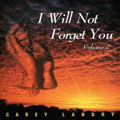 I Will Not Forget You, Vol.2
