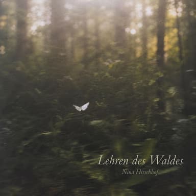 Lehren des Waldes