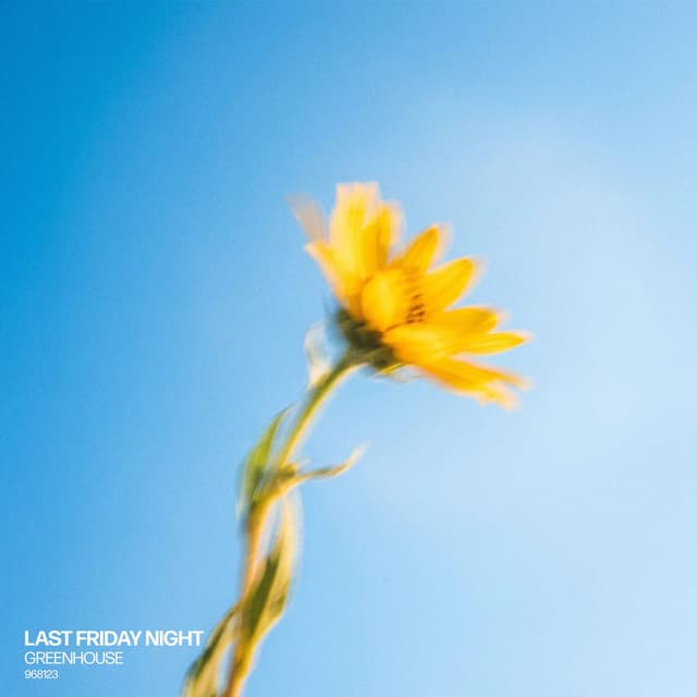 Last Friday Night (Chill House Version)