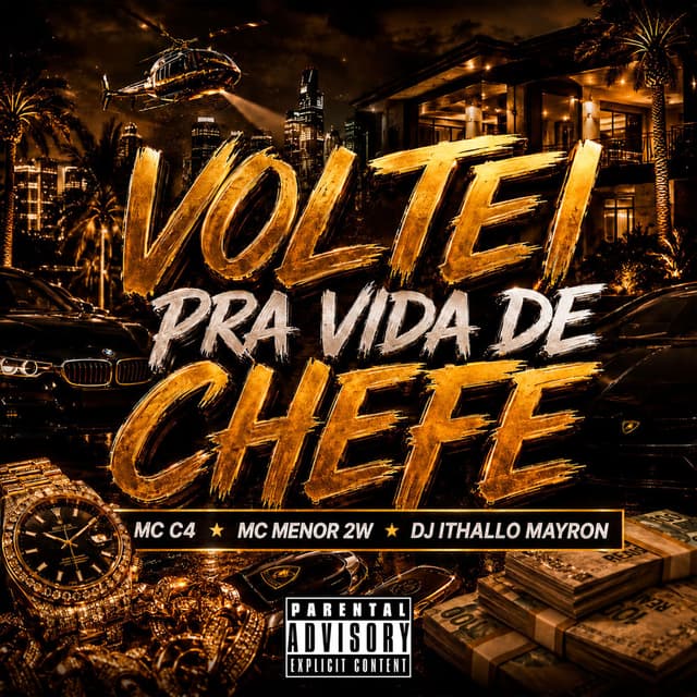Voltei pra Vida de Chefe