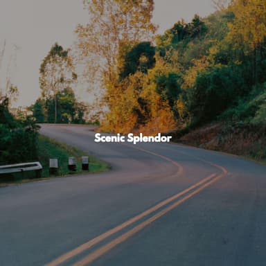 Scenic Splendor