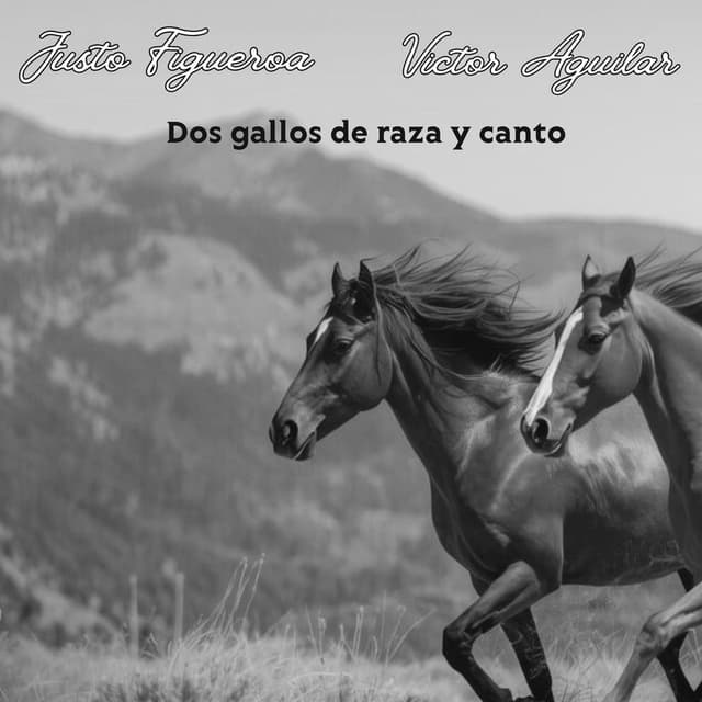 Dos Gallos de Raza y Canto