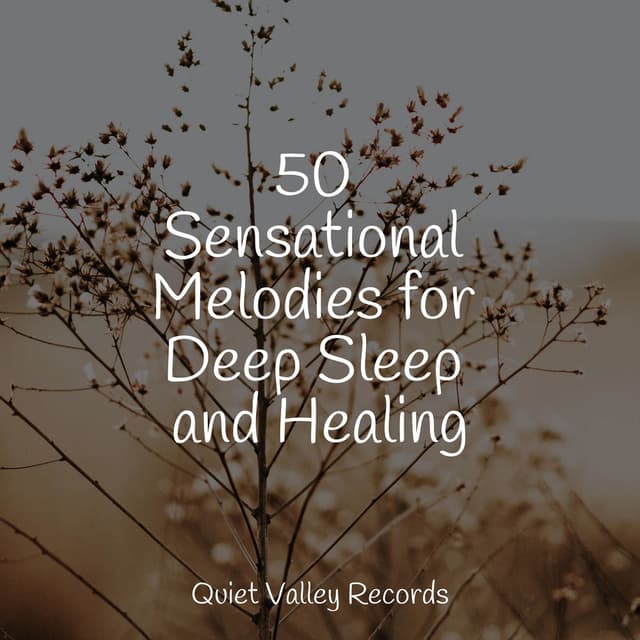 50 Sensational Melodies for Deep Sleep and Healing