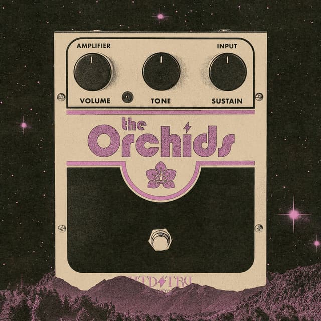 The Orchids