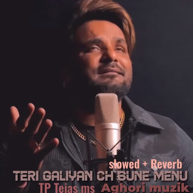 Teri Galiyan Ch Sune Menu (Slowed Reverb)