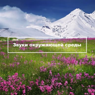Звуки окружающей среды