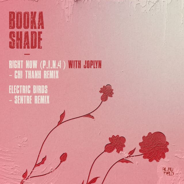 Right Now (P.I.N. 4) / Electric Birds (Remixes)
