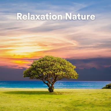 Relaxation Nature