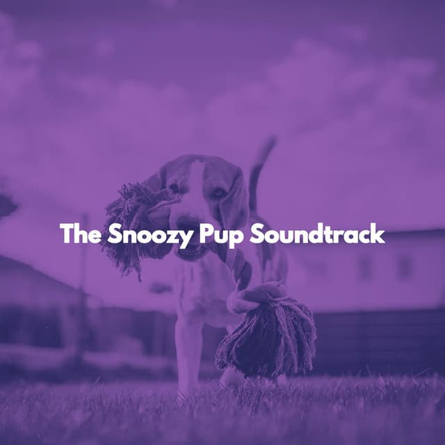 The Snoozy Pup Soundtrack