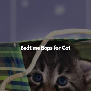 Bedtime Bops for Cat