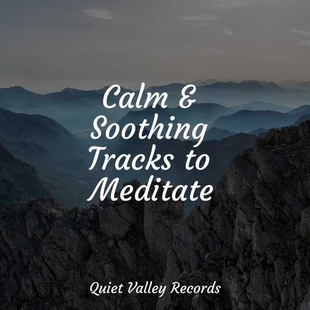 Calm & Soothing Tracks to Meditate