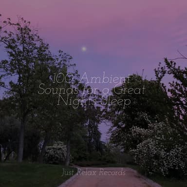100 Ambient Sounds for a Great Nights Sleep