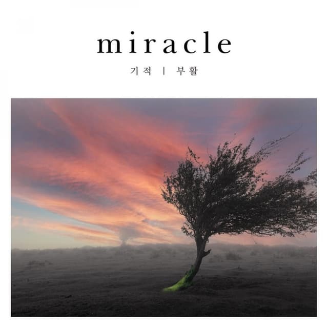Miracle