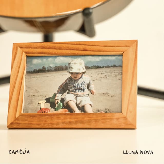 Lluna Nova