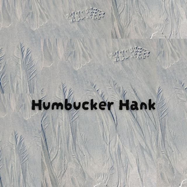 Humbucker Hank