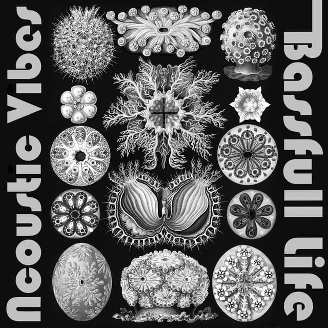 Bassfull Life (Instrumental)