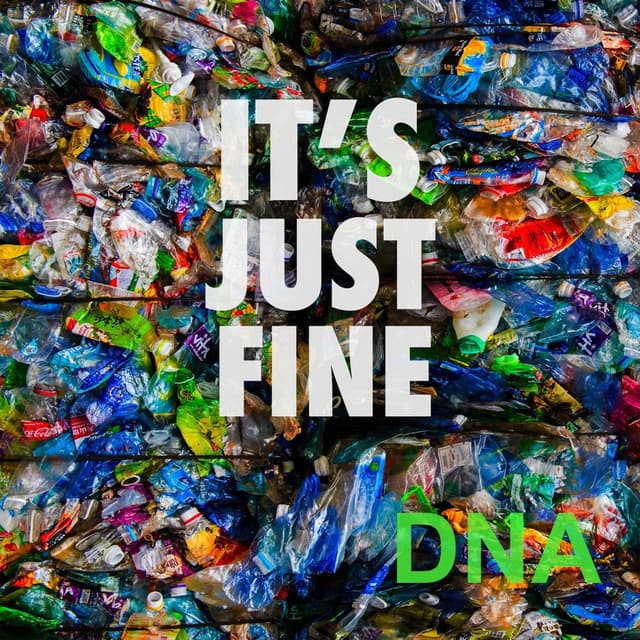 It's Just Fine