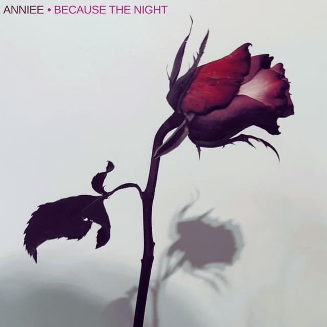 Because The Night