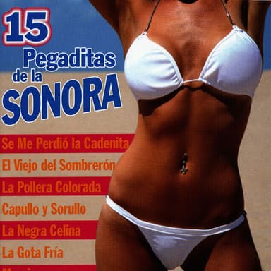 15 Pegaditas de la Sonora