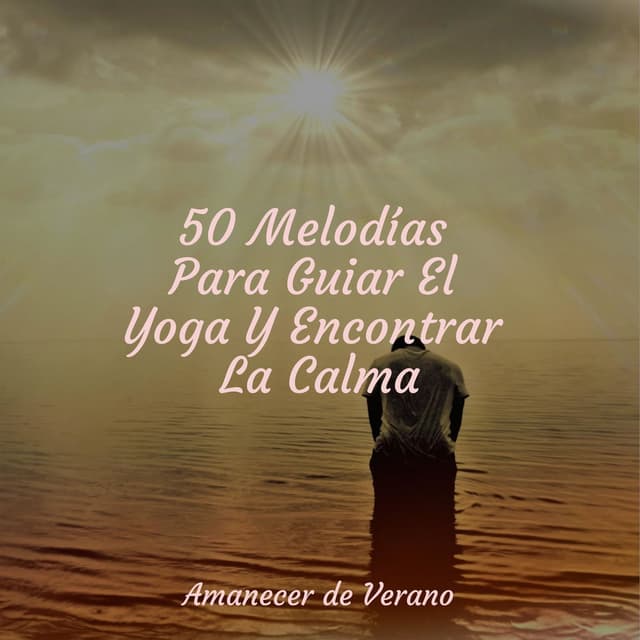50 Melodías Para Guiar El Yoga Y Encontrar La Calma