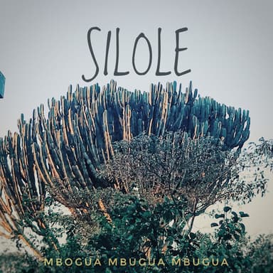 Silole
