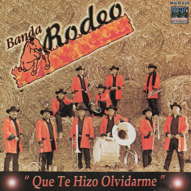 Que Te Hizo Olvidarme