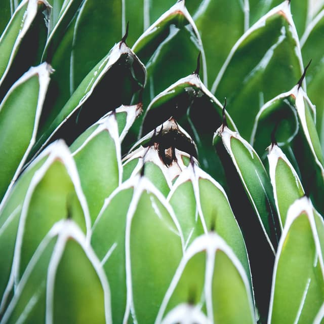 Relaxing Sounds | Relaxing Session