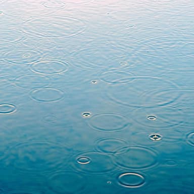 Rain Sounds