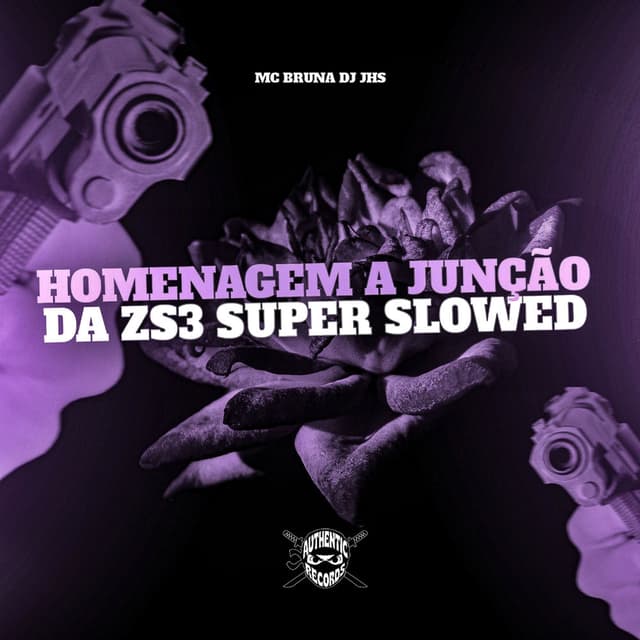 Homenagem a Junção da ZS3 (Super Slowed)