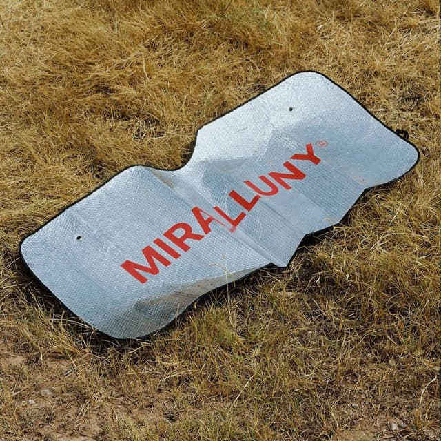MIRA LLUNY (Directe 10 anys a Tramuntana Estudis)