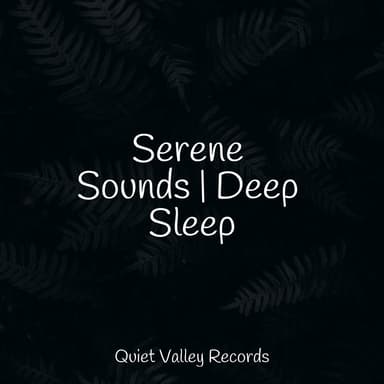 Serene Sounds | Deep Sleep
