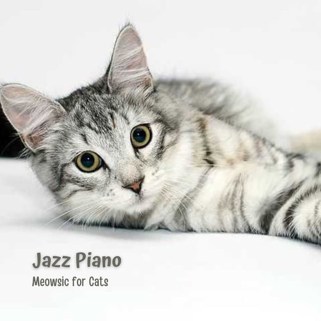 Jazz Piano: Meowsic for Cats