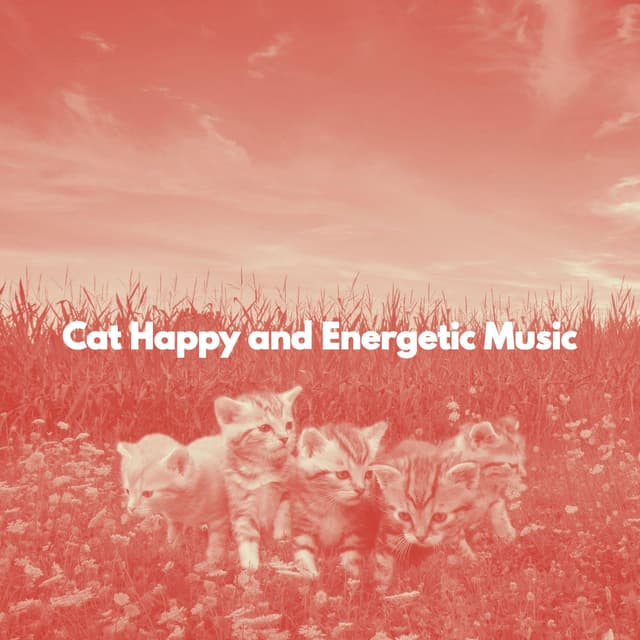 Cat Happy and Energetic Music