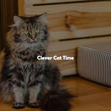 Clever Cat Time