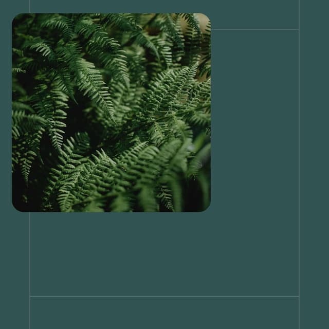 Understated (Self Care Days)