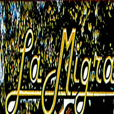 16 Exitos